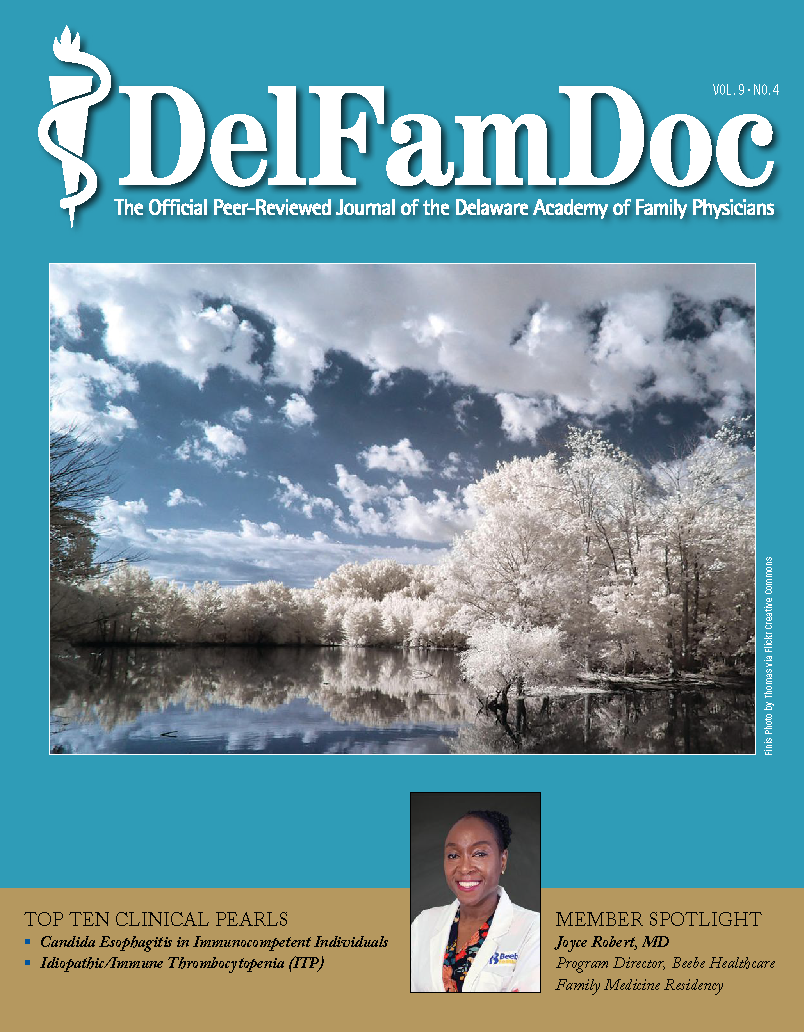 Delfamdoc-issue31-cover